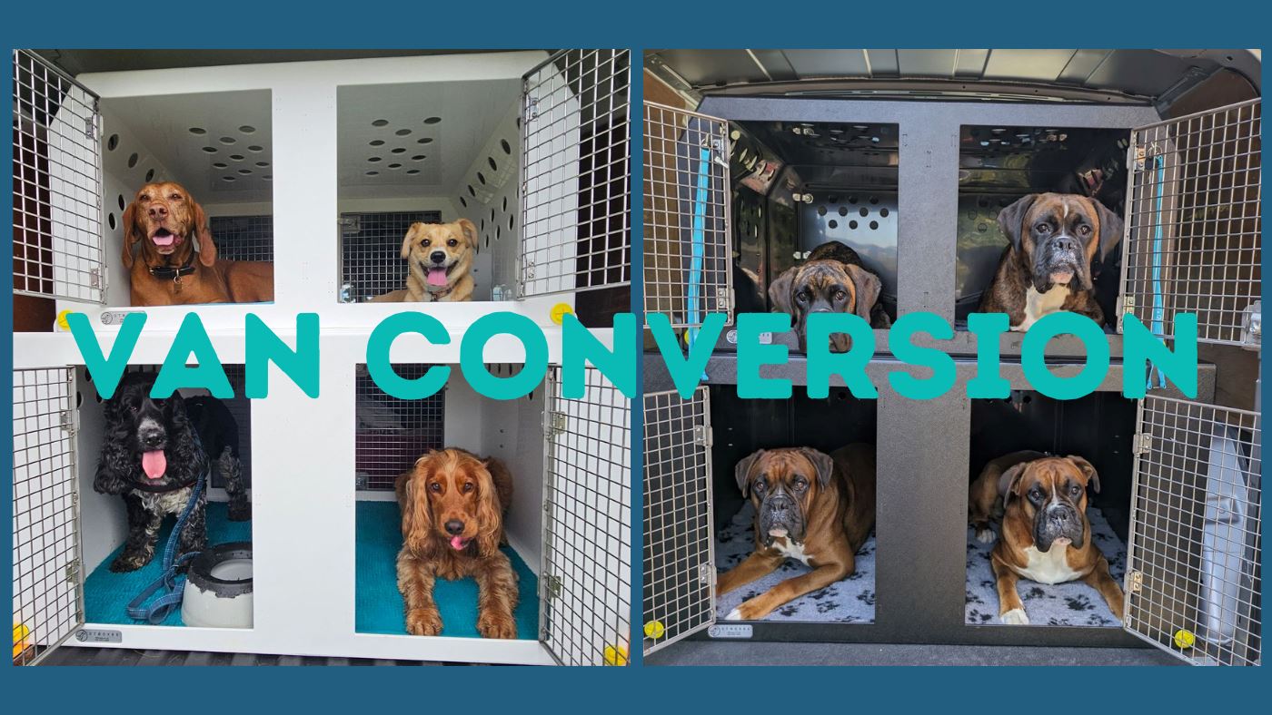 Dog Walking Van Conversion, the Perfect Solution!