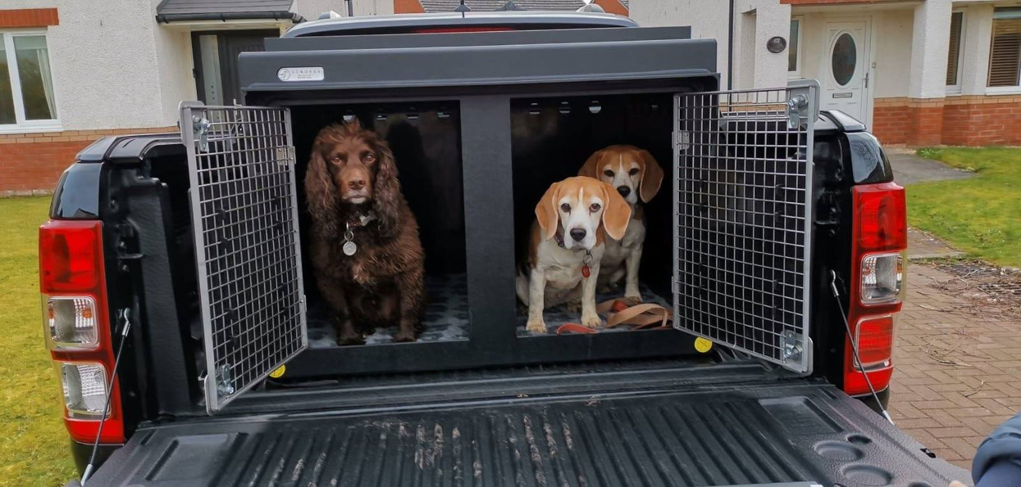 DT BOX DOG CAR CRATE - DT 1000 PICK UP KIT DT Box DT BOXES