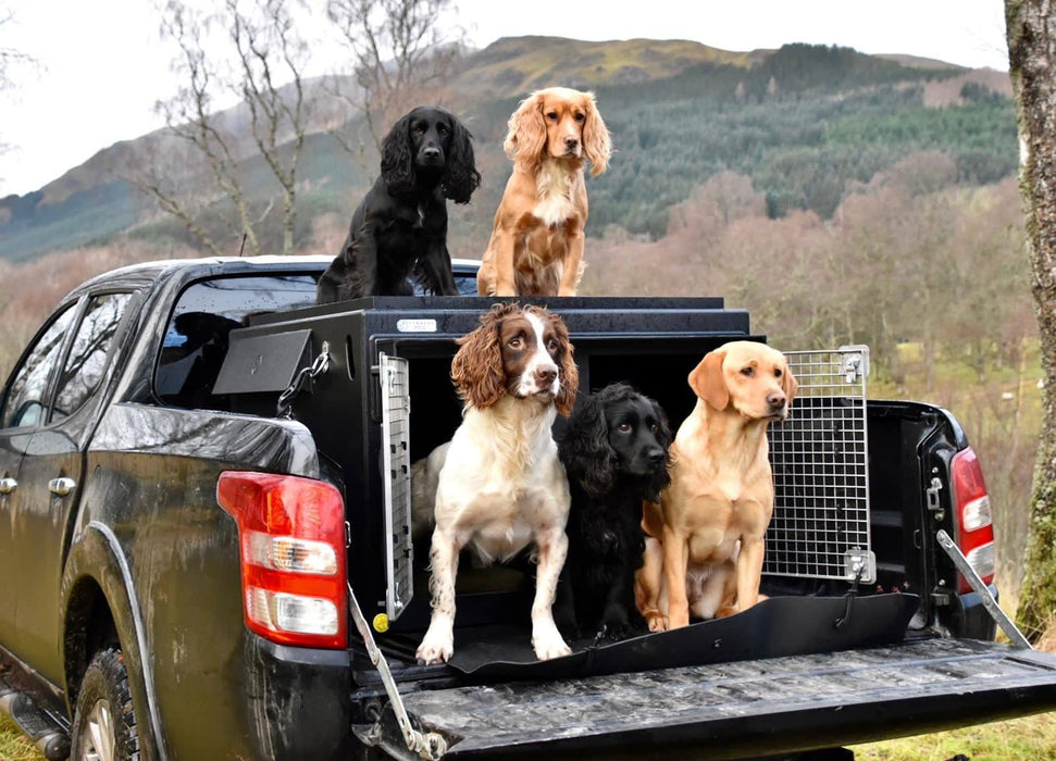 DT Box Dog Car Travel Crate -The DT 1000XL DT Box DT BOXES