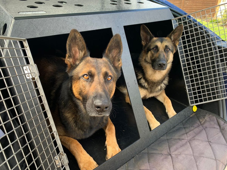 Tesla Model Y | Dog Travel Crate DT Box DT BOXES