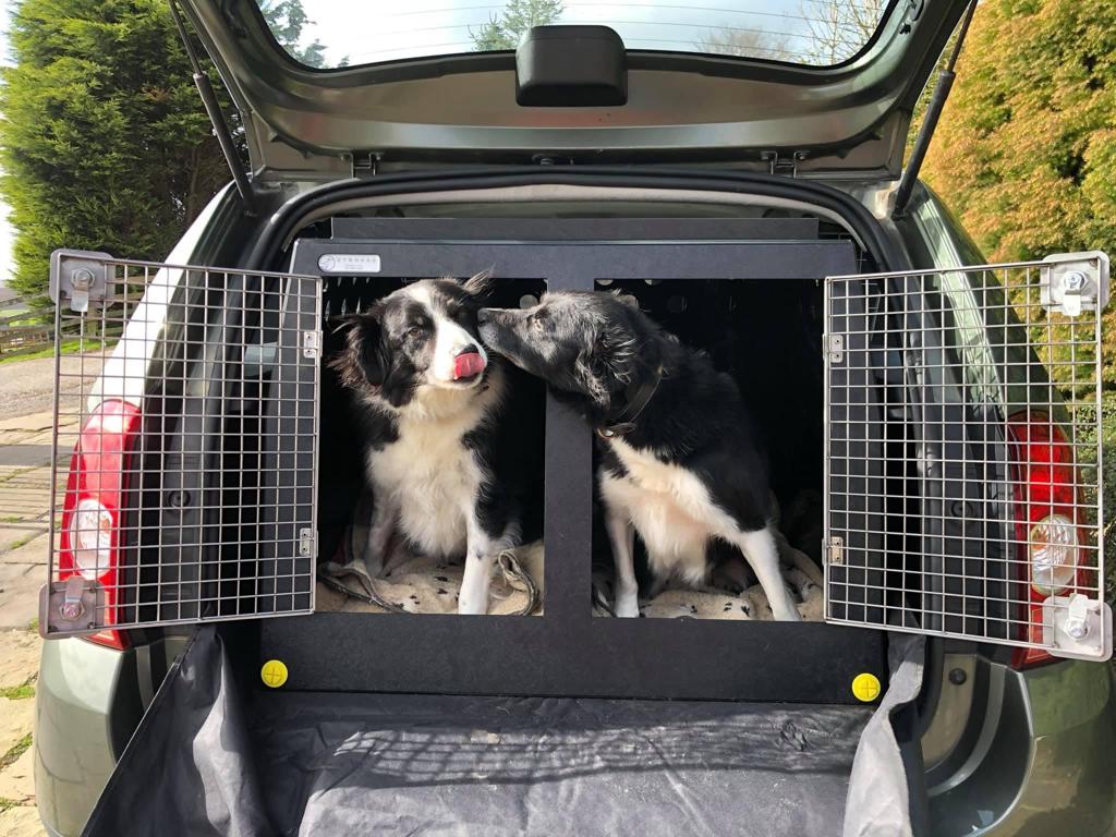 7 Reasons You Should Use a Dog Car Crate
