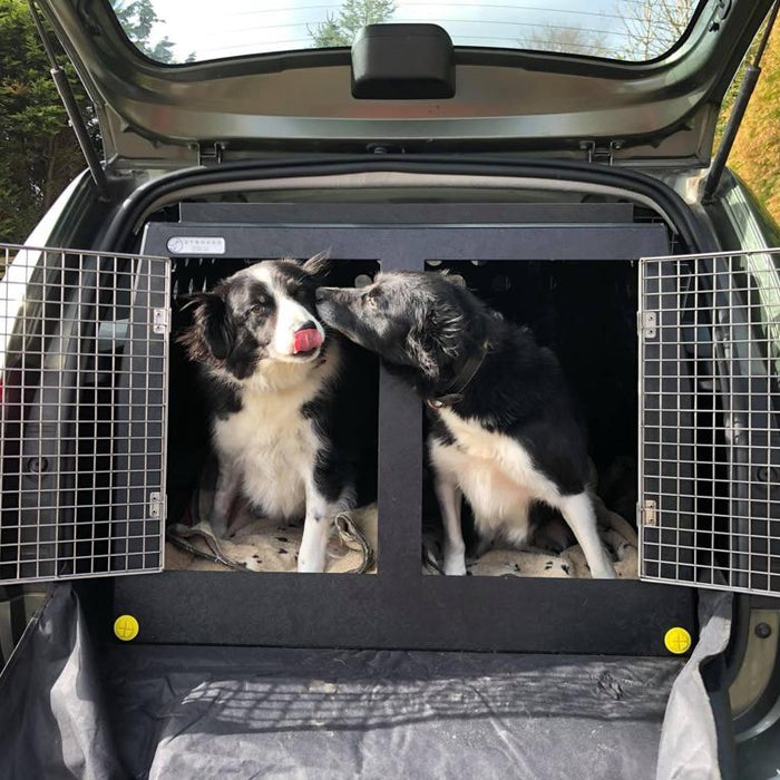 7 Reasons You Should Use a Dog Car Crate