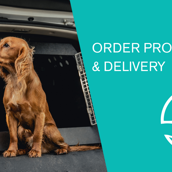 I have ordered my DT Box. What happens Next?