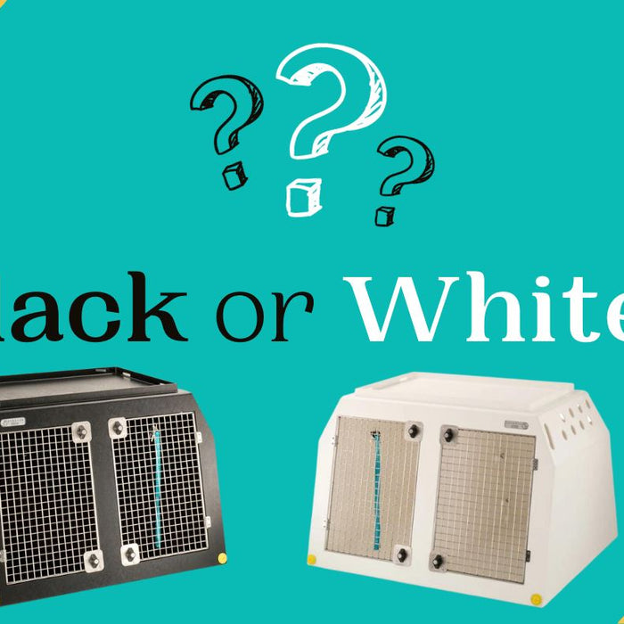 New Colour! White or Black, which is the right box option for my dog?