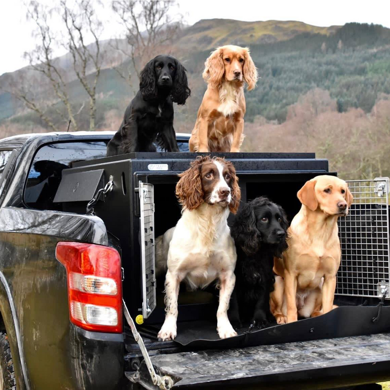 VOLKSWAGEN AMAROK | 2010-PRESENT | DOG PICKUP CRATES - DT BOXES