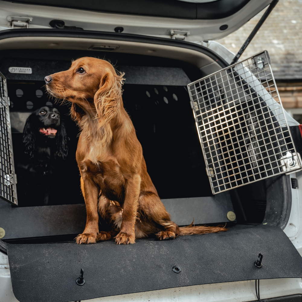 Fresh Look at Amazon Com Mat Under Dog Crate To Protect Floor