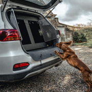 DT BOXES | Bumper Protector - DT BOXES