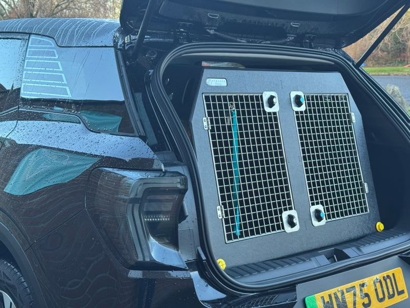 Car trunk with a pet carrier inside, 