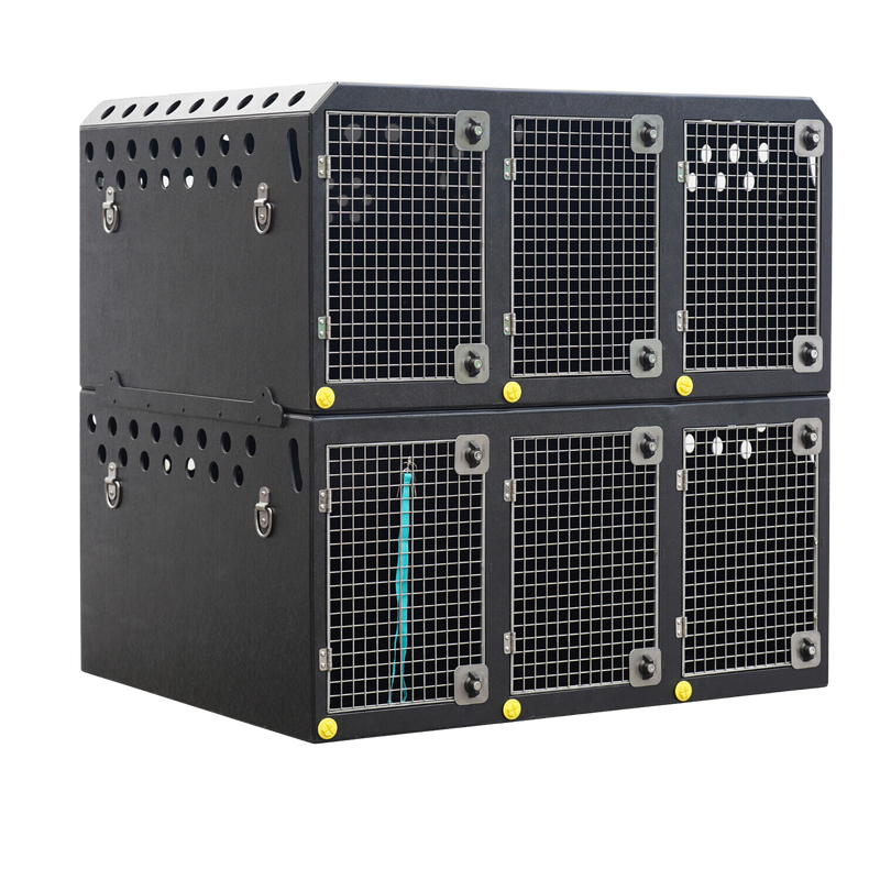 Dog Van Kit | Peugeot Expert | 2017 > | Double stack | DT VM6 - DT BOXES