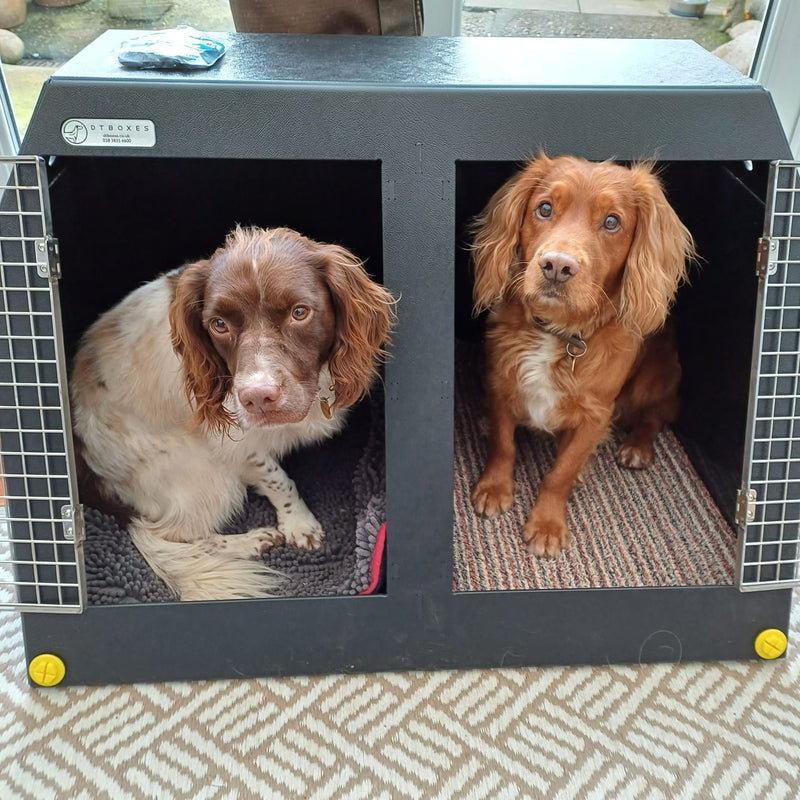 Kia Niro | 2022-Present | Dog Travel Crate - DT BOXES