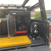 MAXUS T90EV | 2021-PRESENT | DOG PICKUP CRATES - DT BOXES