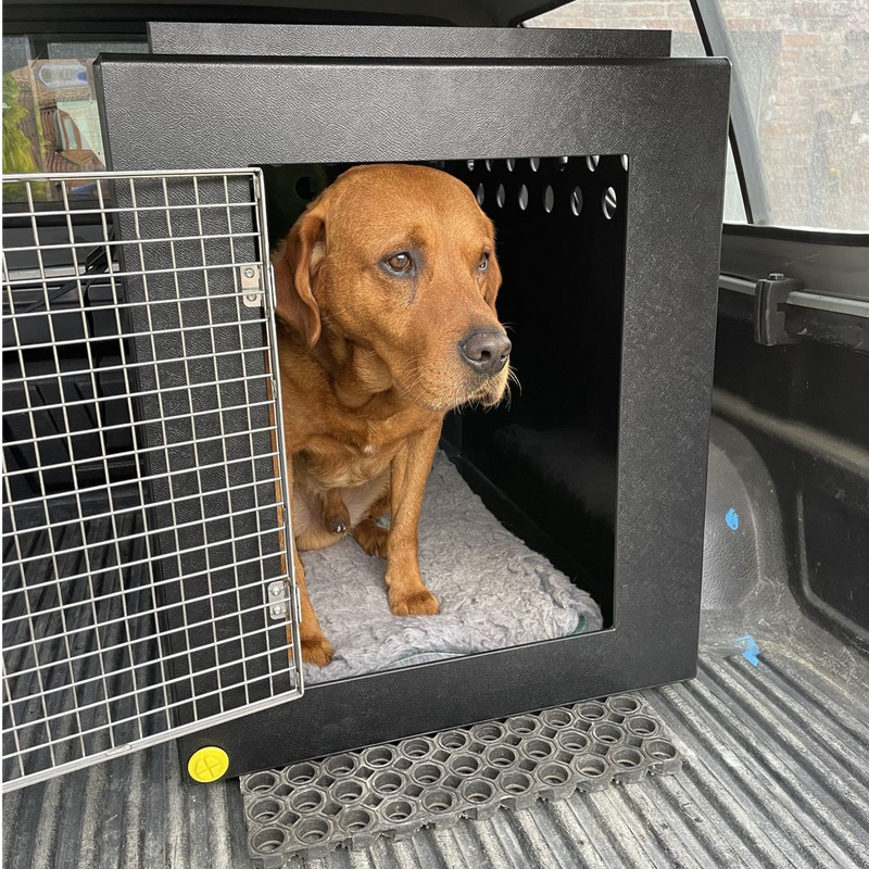 SSANGYONG MUSSO | 2018-PRESENT | DOG PICKUP CRATES - DT BOXES