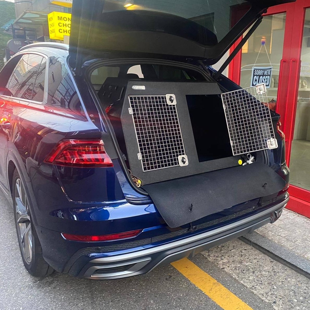 Audi A4 Avant Dog Cage — DT BOXES