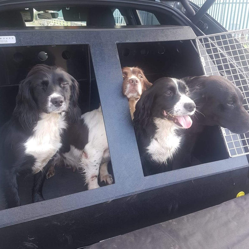 Audi Q3 2011–2018 - DT-10 DT Box DT BOXES 