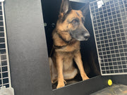 Citroen Berlingo III / Peugeot Rifter (2018–present) DT Box DT BOXES 