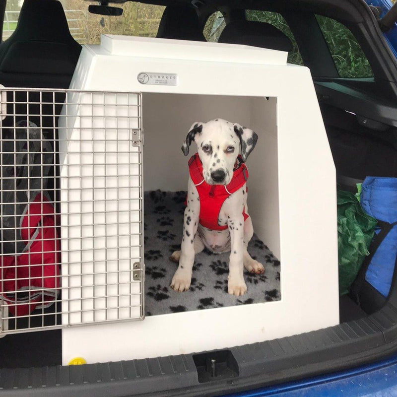 Citroen C5 AirCross (2017 - Present) DT Box Dog Car Travel Crate- DT 6 DT Box DT BOXES 