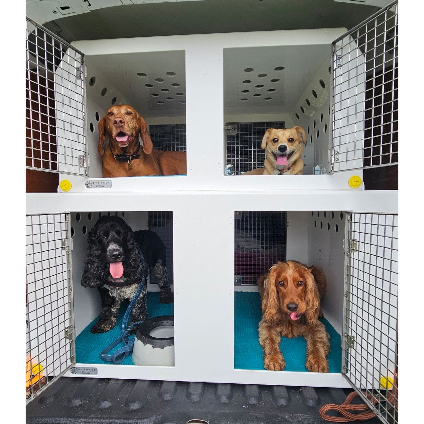Double stack Dog Van Kit | DT VS1 — DT BOXES