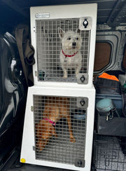 Double stack side door Dog Travel Boxes | DT VS550 DT Box DT BOXES 