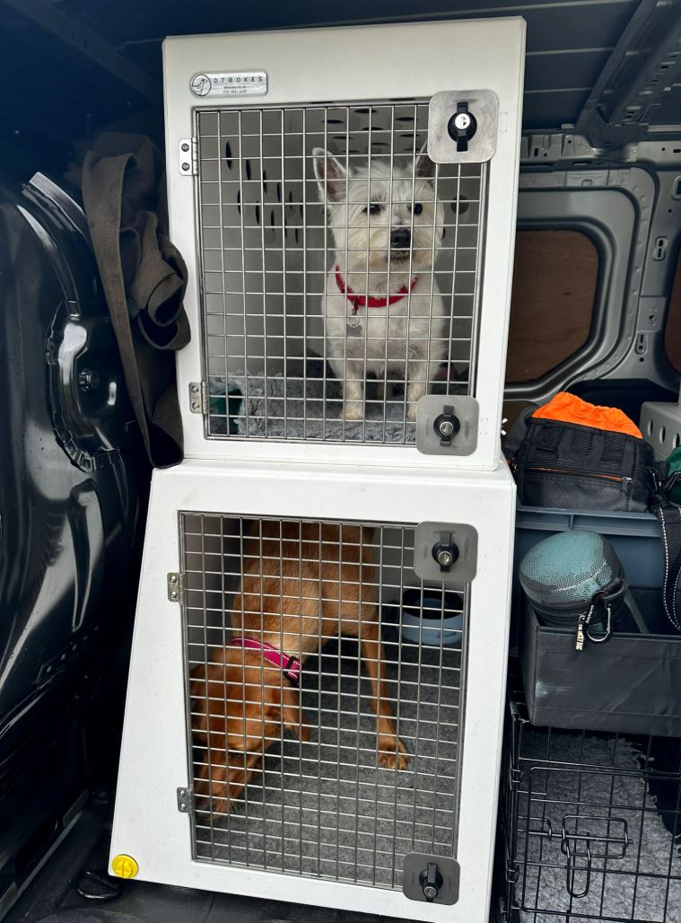 Double stack side door Dog Travel Boxes | DT VS550 DT Box DT BOXES 