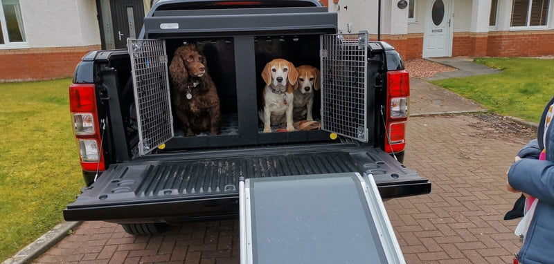 DT BOX DOG CAR CRATE - DT 1000 PICK UP KIT DT Box DT BOXES 