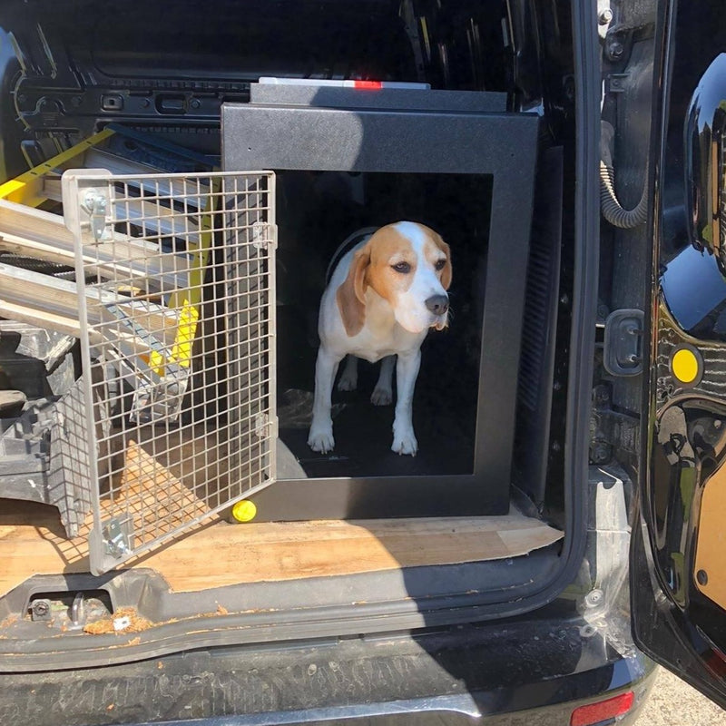 DT Box Dog Car Crate - DT 500 DT Box DT BOXES 