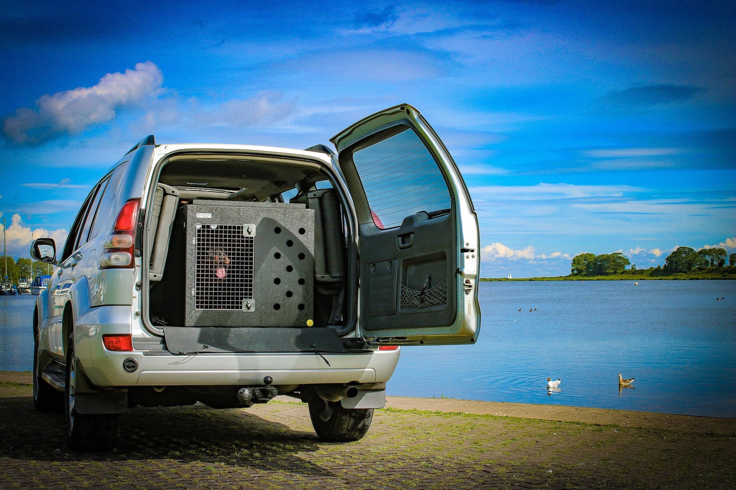 DT Defender: Dog Crates For Land Rover Defender — DT BOXES