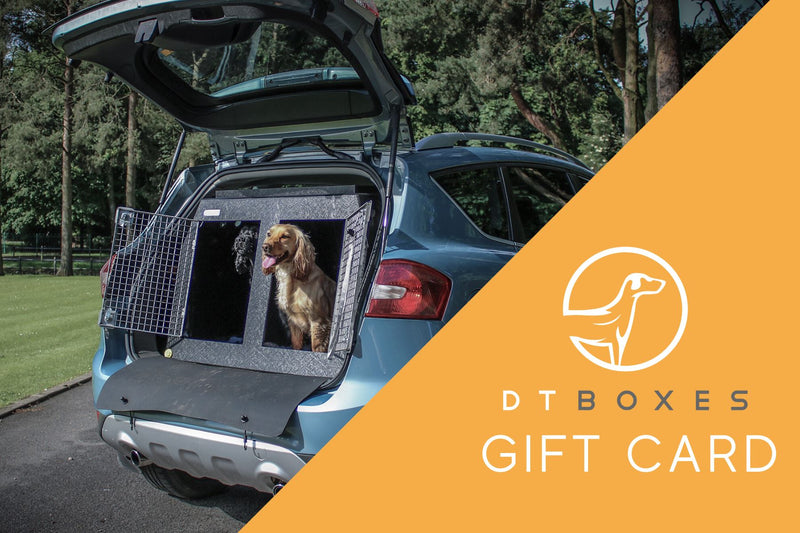 DT Boxes Gift Card DT BOXES 