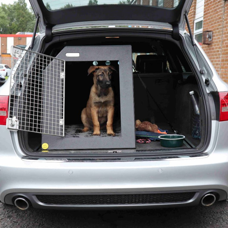 Ford Fiesta Van (2009 >) DT Box Dog Car Travel Crate- DT 2 DT Box DT BOXES 