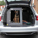 Hyundai I40 (2011 - 2019) DT Box Dog Car Travel Crate - The DT 2 DT Box DT BOXES 