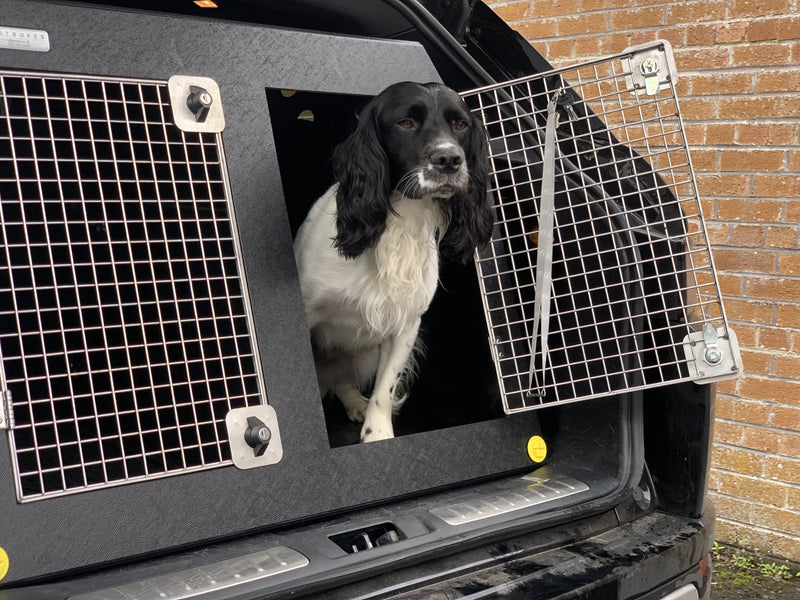 Jeep Compass (2018 - Onwards) DT Box Dog Car Travel Crate- The DT 9 DT Box DT BOXES 