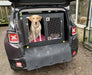 Jeep Renegade | 2014-Present | Dog Travel Crate DT Box DT BOXES 