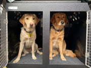 Land Rover Defender - 2020 - Dog Car Travel Crate DT Box DT BOXES 