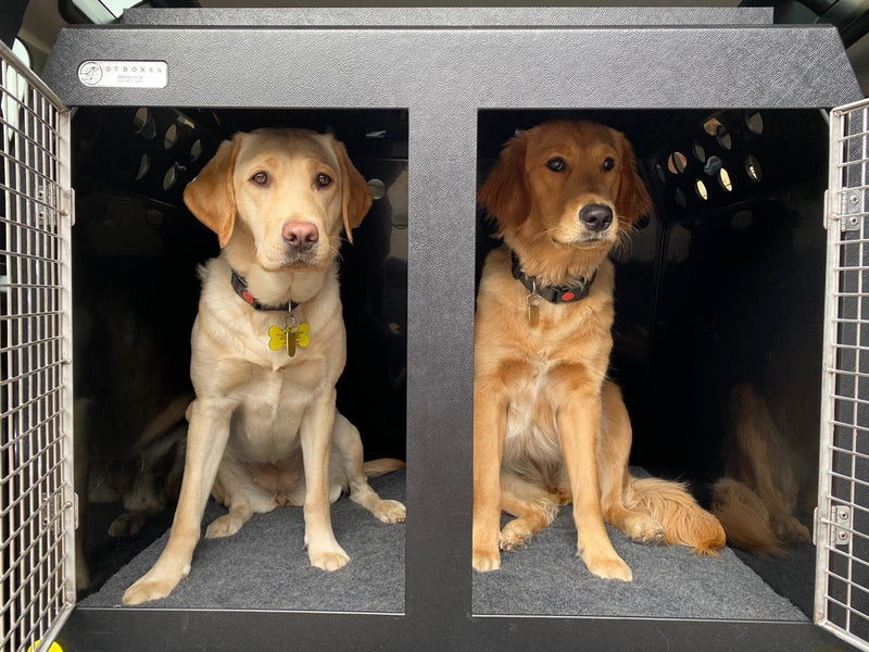 Land Rover Defender - 2020 - Dog Car Travel Crate DT Box DT BOXES 