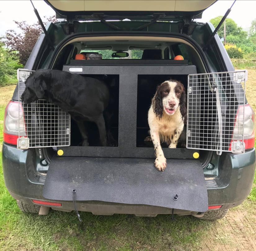 Land Rover Freelander 2 | Dog Travel Crate | The DT 1 — DT BOXES