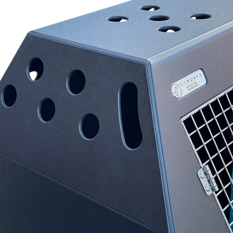 Lexus NX 300h - DT Box Dog Car Travel Crate - 2014 > Present DT Box DT BOXES 