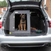 Mazda 6 Tourer (2012 - Present) DT Box Dog Car Travel Crate - The DT 2 DT Box DT BOXES 