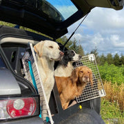 MINI Countryman (2017–Present) Dog Car Travel Crate - The DT 9 DT Box DT BOXES 