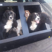 Nissan Qashqai 2007 - 2013 Dog Car Crate - DT 10 DT Box DT BOXES 