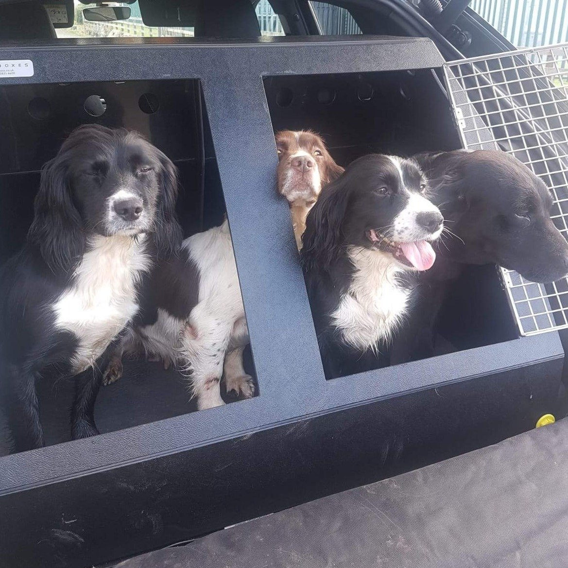 Nissan Qashqai Dog Car Crate DT 10 — DT BOXES