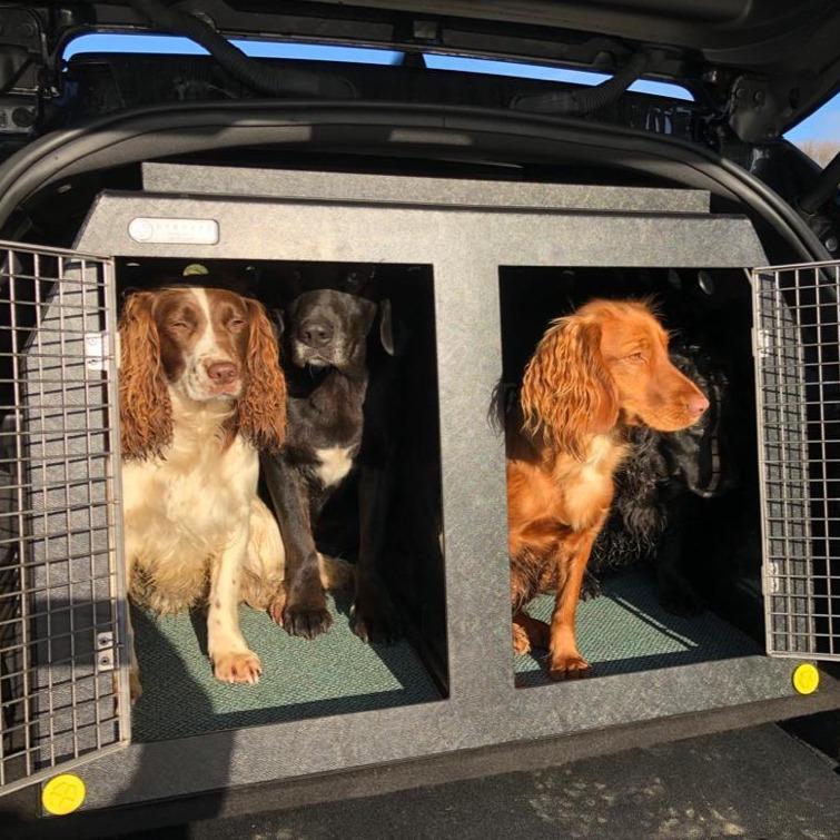 Peugeot 308 SW Estate (2017 - Present) DT Box Dog Car Travel Crate- The DT 3 DT Box DT BOXES 