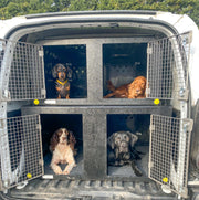 Peugeot Partner | 2008-Persent |Double stack Dog Van Kit | DT VS1 DT Box DT BOXES 