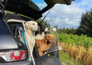 Range Rover Evoque (2011 - Present) DT Box Dog Car Travel Crate- The DT 9 DT Box DT BOXES 