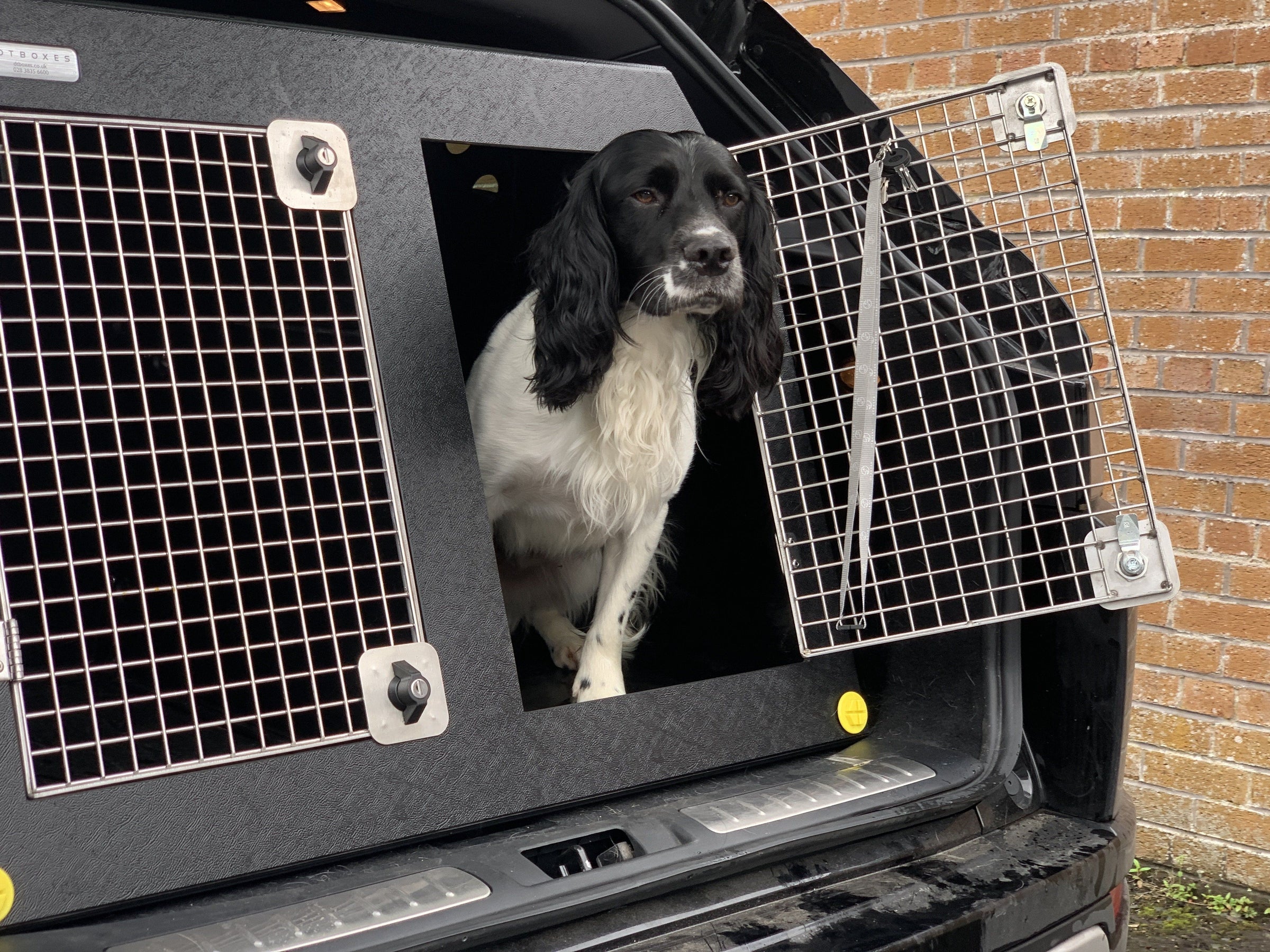 Range Rover Evoque Transport Cage For Dogs For Sale — DT BOXES