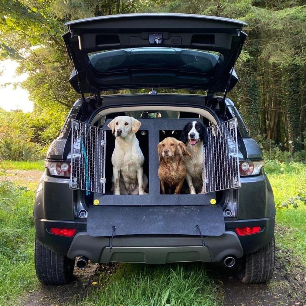Range Rover Evoque Transport Cage For Dogs For Sale — DT BOXES