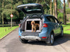 Skoda Karoq - DT Box Dog Car Travel Crate- The DT 7 DT Box DT BOXES 950mm Black 