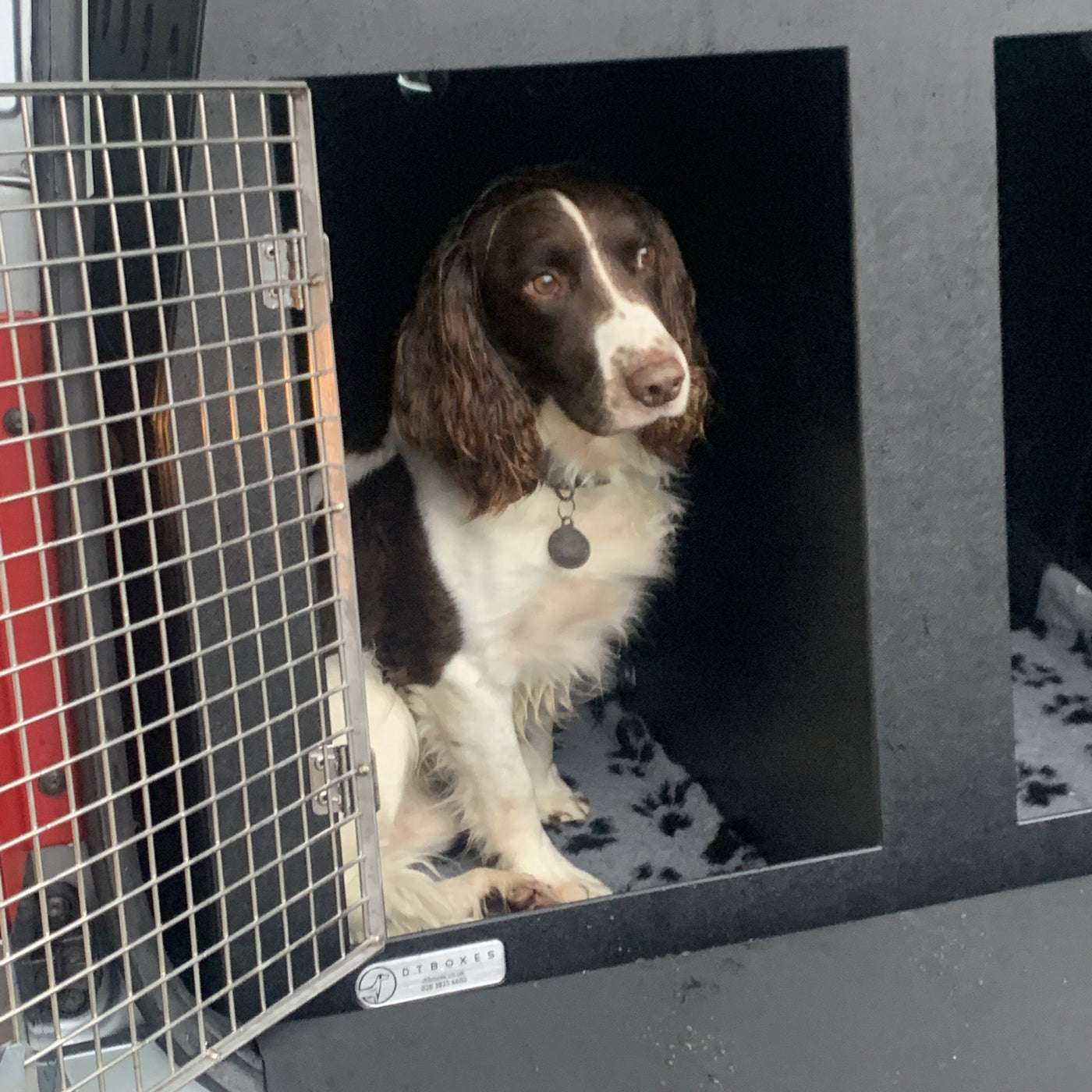 Dog Car Crate for a Škoda YETI DT Box Made In The UK — DT BOXES