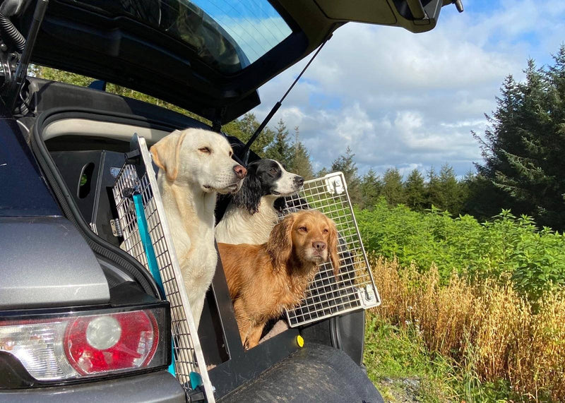 Subaru XV (2017 - Present) DT Box Dog Car Travel Crate - The DT 9 DT Box DT BOXES 