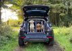 Subaru XV (2017 - Present) DT Box Dog Car Travel Crate - The DT 9 DT Box DT BOXES 