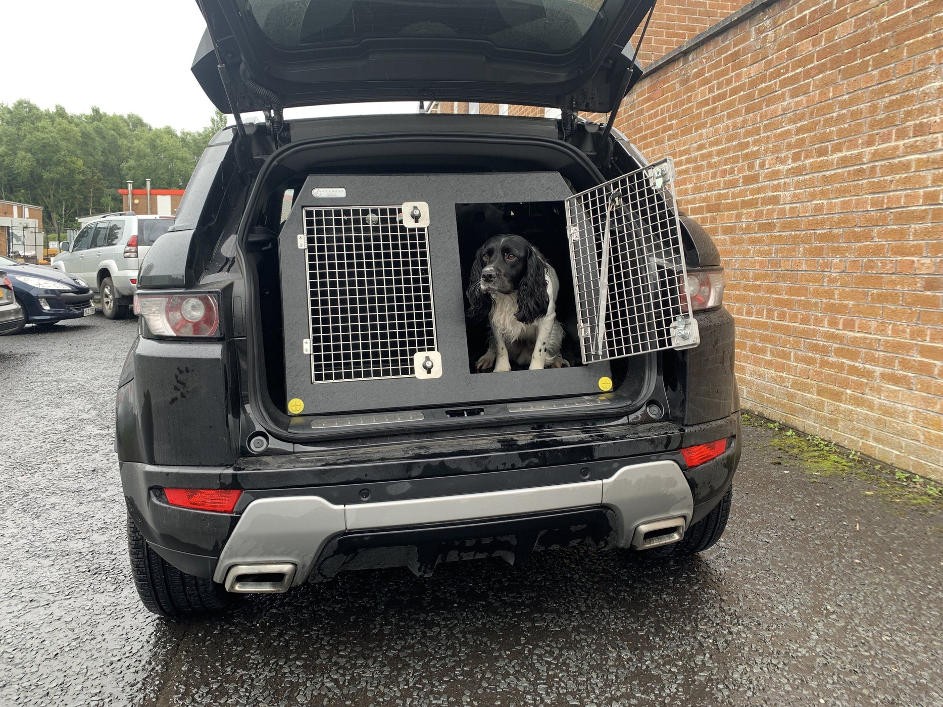 Subaru XV (2017 Present) Transport Cage For Dogs For Sale — DT BOXES