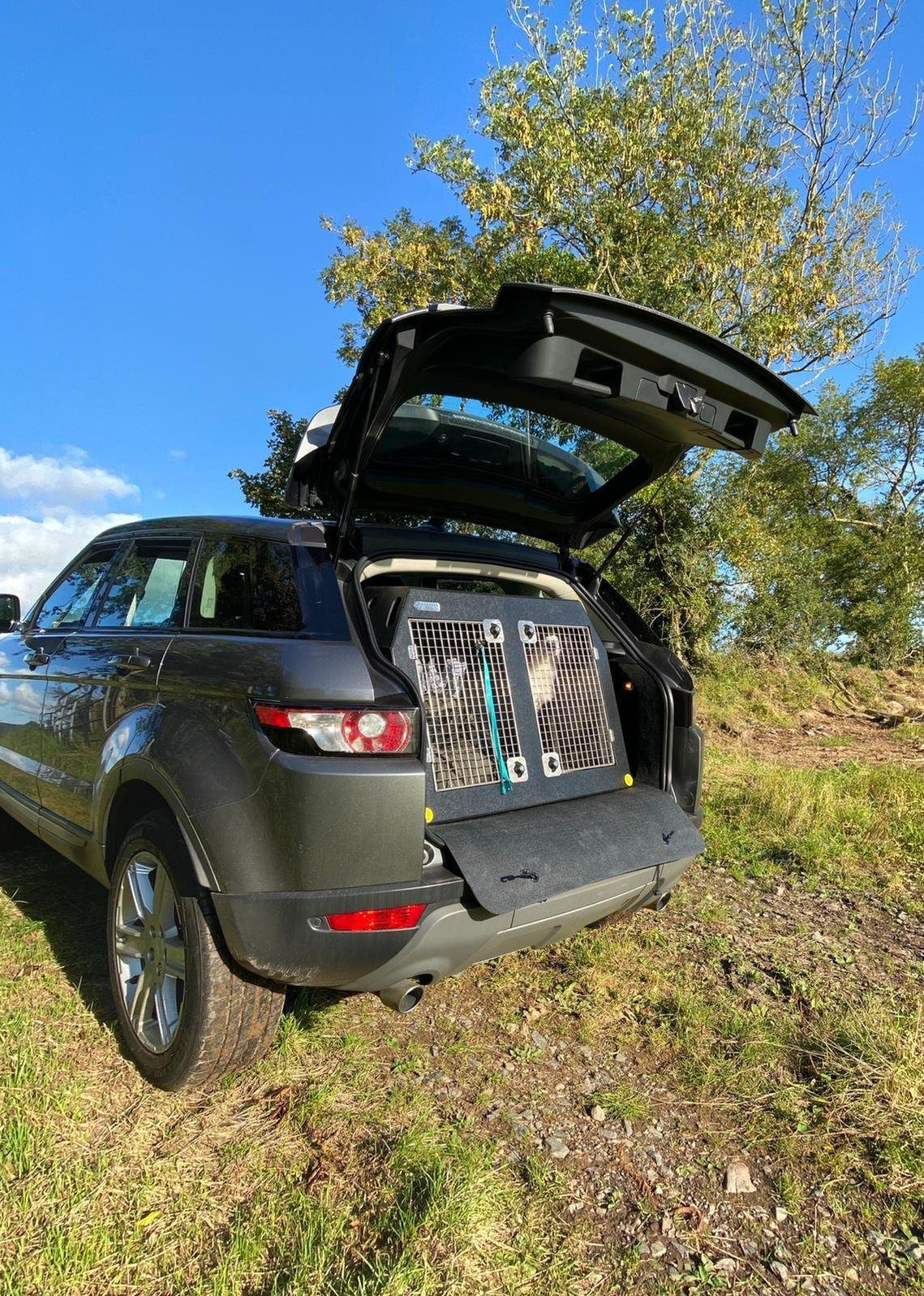 Subaru XV (2017 Present) Transport Cage For Dogs For Sale — DT BOXES